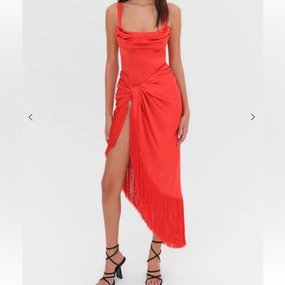 For Love and Lemons Anisa Fringe Midi Dress - Picture 4 of 7